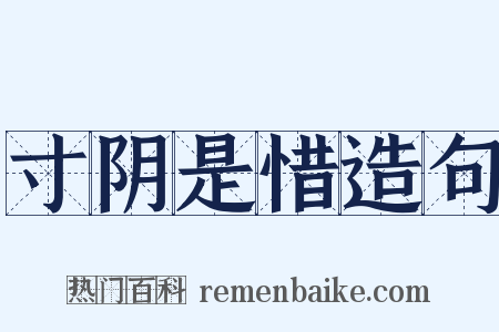 寸阴是惜造句是什么意思的图片
